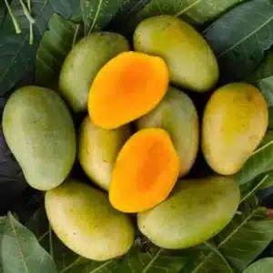 Amrapali Mango